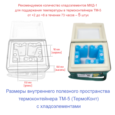 Термоконтейнер ТМ-5 в сумке-чехле